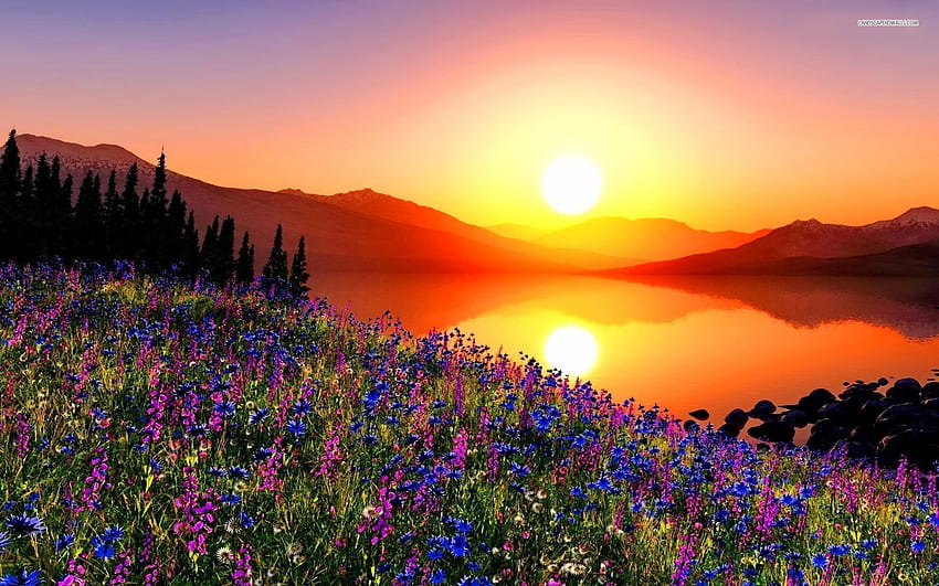Glowing Sunrise, glowing, sunrise, lake, reflection, trees, nature, flowers, mountains, sunset HD wallpaper