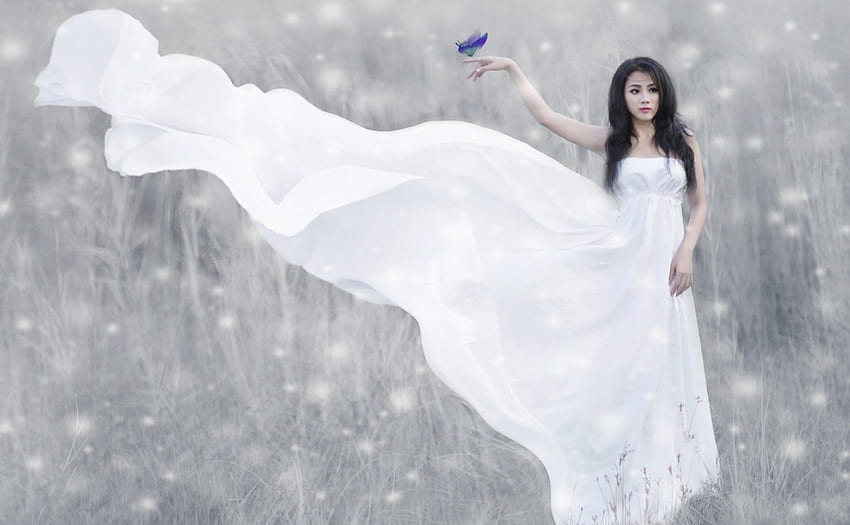 Panna młoda, niebieski, zima, biały, model, azjata, dziewczyna, sukienka, kobieta, motyl, śnieg Tapeta HD
