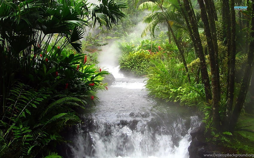 Waterfall In The Jungle Nature Background HD wallpaper