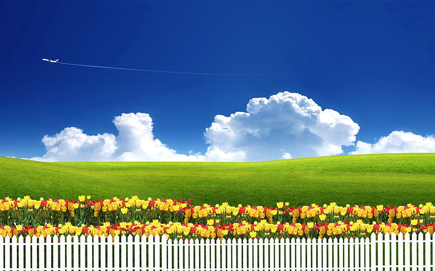 Tulips, Clouds, , , Fence, Plane, Airplane, Serenity HD wallpaper