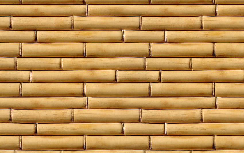 Fundo de bambu marrom .at, textura de madeira de bambu papel de parede HD