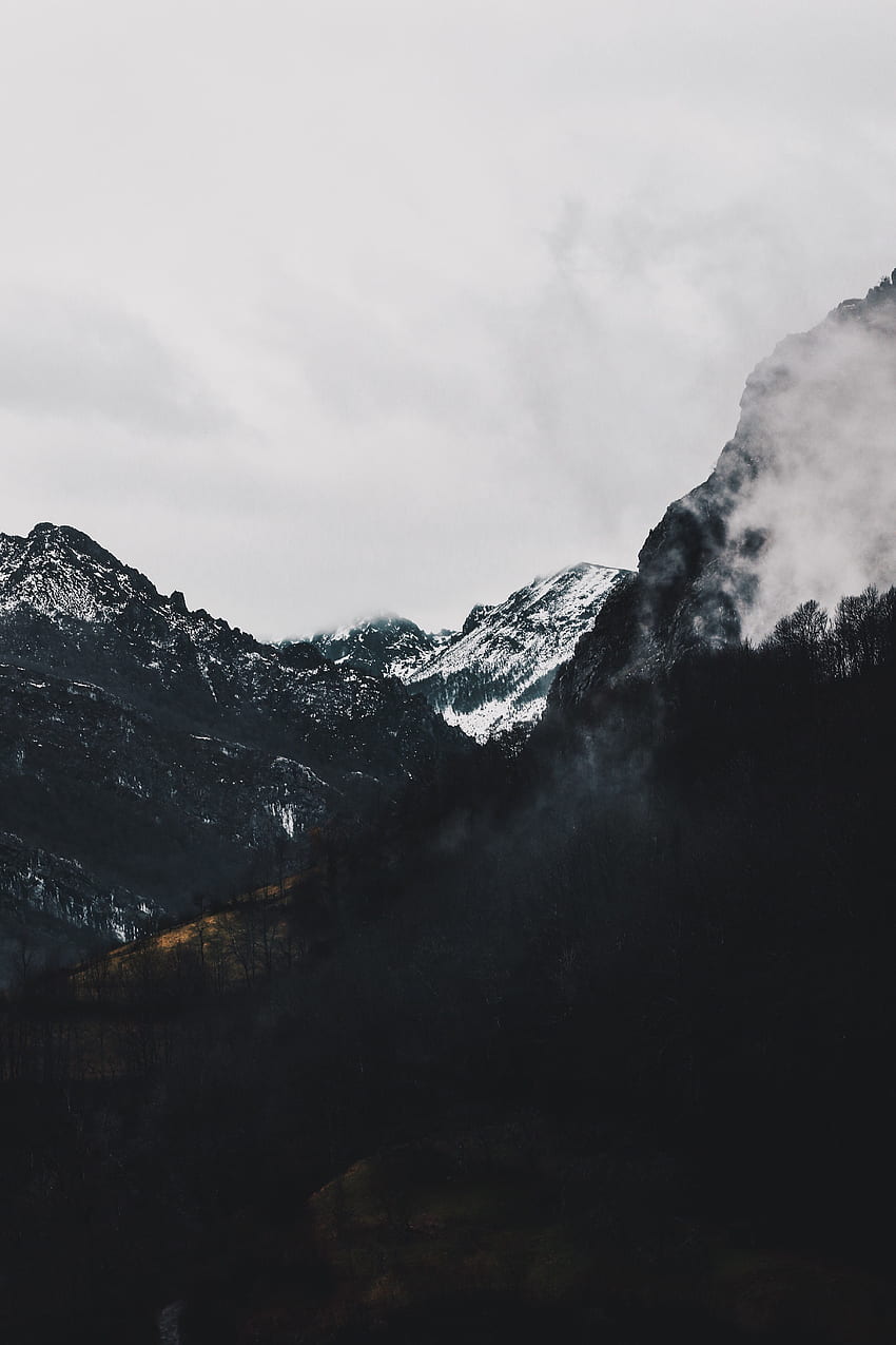 Landschaft, Natur, Berge, Wald, Nebel, Alpin HD-Handy-Hintergrundbild