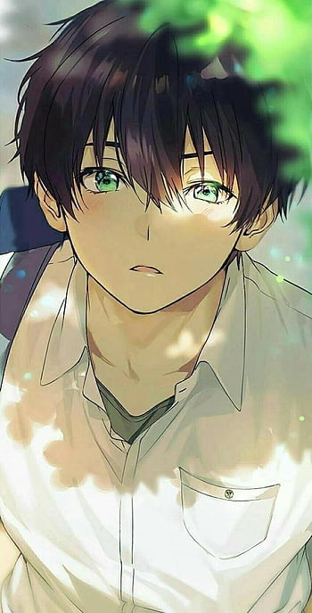 anime boy cute nekoboy neko  Cute Anime Boy With Black Hair HD Png  Download  Transparent Png Image  PNGitem