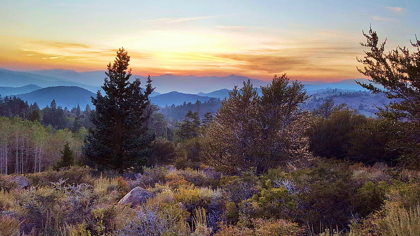 Monitor Pass, California, rocks, mountains, sunset, landscape, trees, usa HD wallpaper