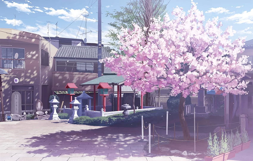 nubes, calle, hogar, sombra, Sakura, luces, Japón, floración para, sección прочее, Japanese Sakura Anime fondo de pantalla