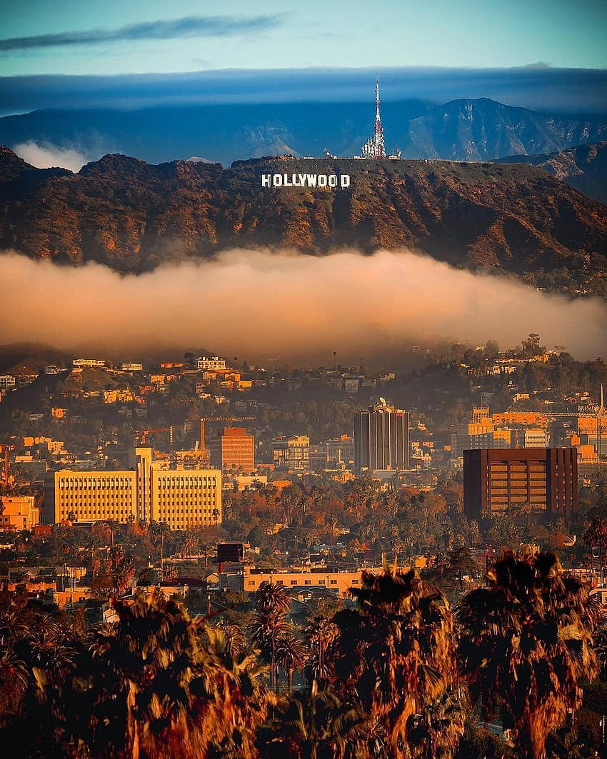 California ❤️❤️❤️ na Instagramie: “ autor: Obserwuj -> Oceń. Podróże po Kalifornii, podróże po Los Angeles, grafika Los Angeles w Kalifornii, dolina San Fernando Tapeta na telefon HD