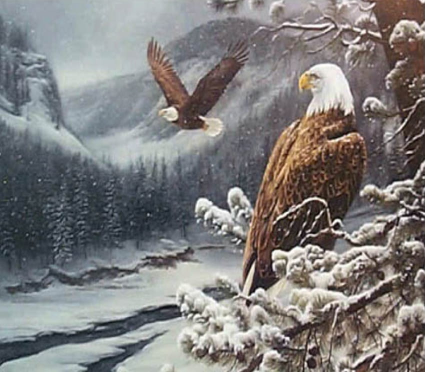 Winter eagles, one flying, eagles, snow HD wallpaper