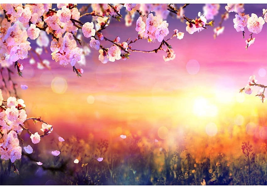 Yeele ft Cherry Blossoms graphy Background Spring Forest Bench Colorful Flower Glitter Sunshine Sunset Greenland Petal Party Decoration Backdrop Adults Portrait : Camera & HD wallpaper