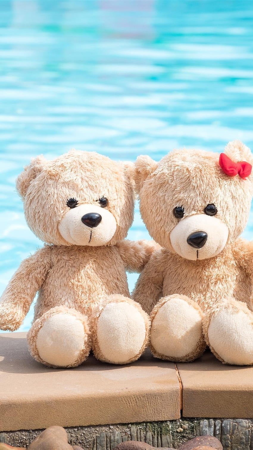 Teddy Bear, Besties, teddy bear ke wallpaper ponsel HD