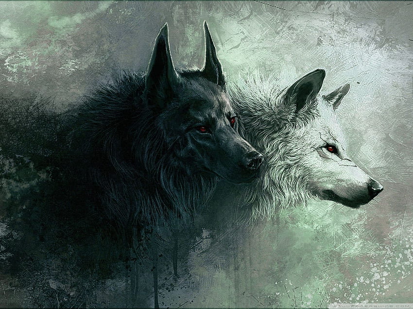 Lobo ❤ para Ultra TV • Tablet, Lobo solitario fondo de pantalla | Pxfuel