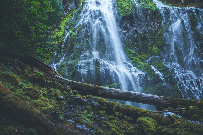 Waterfall, nature, jungle, rocks, forest, tree HD wallpaper