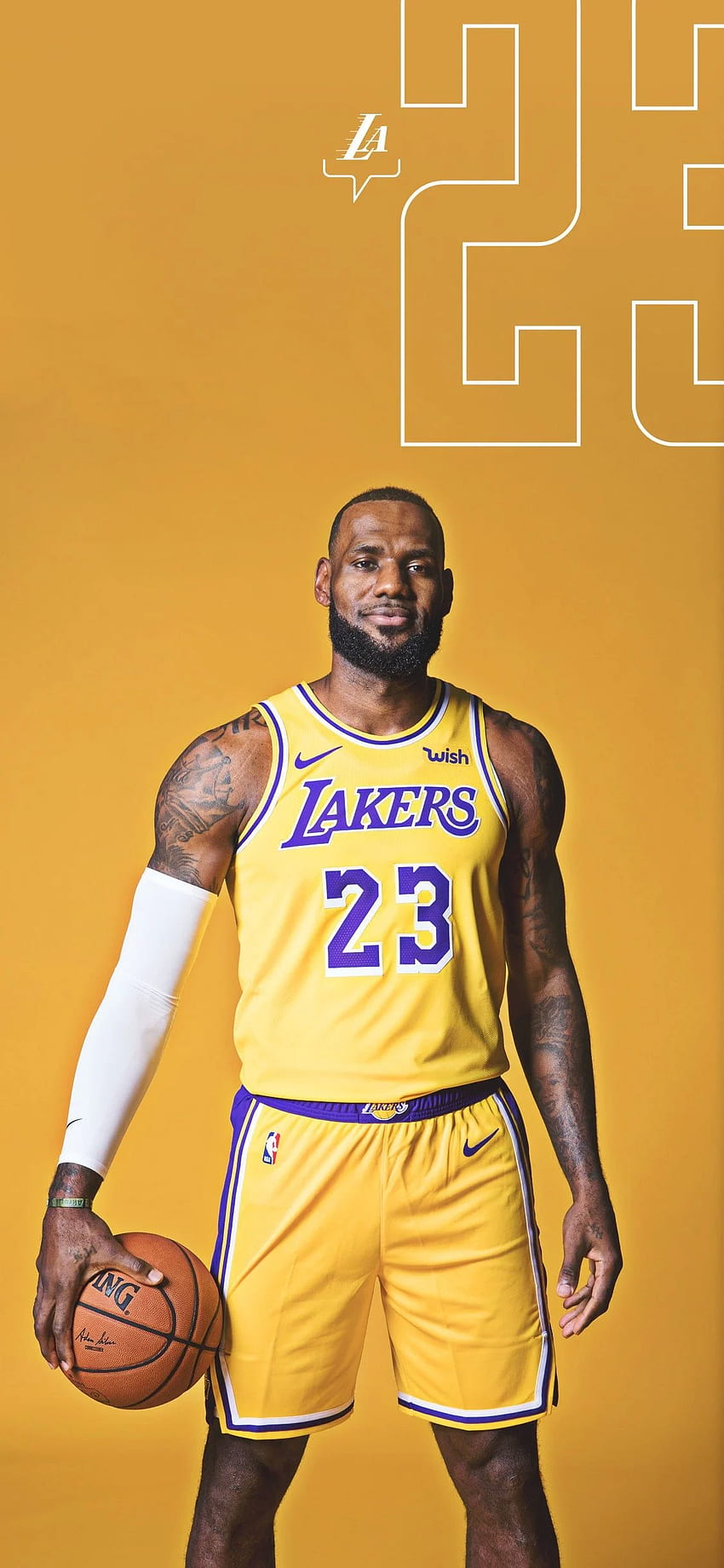 Lakers and Infographics. Los Angeles Lakers, LeBron James Lakers HD phone wallpaper