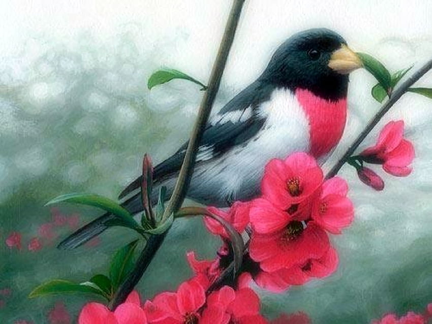 春のロア ブレスト グロスビーク、四季が大好き、鳥、動物、庭、自然、花、絵画、春 高画質の壁紙