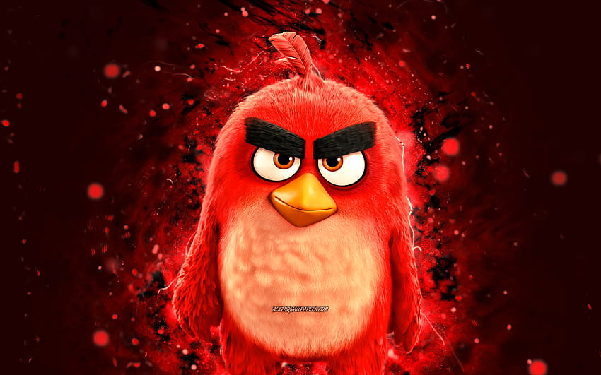 Red Angry Birds, luzes de neon vermelhas, O Filme Angry Birds, criativo, Angry Birds personagens, pássaros de desenho animado, protagonista, Angry Birds papel de parede HD