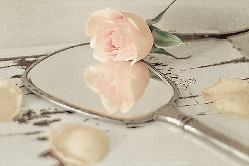 vintage, lustro, róża, martwa natura, abstrakcja Tapeta HD