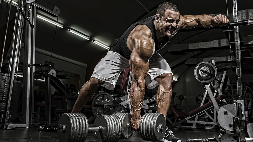 Men Gym Muscle Workout Sport Dumbbells, Fitness HD wallpaper