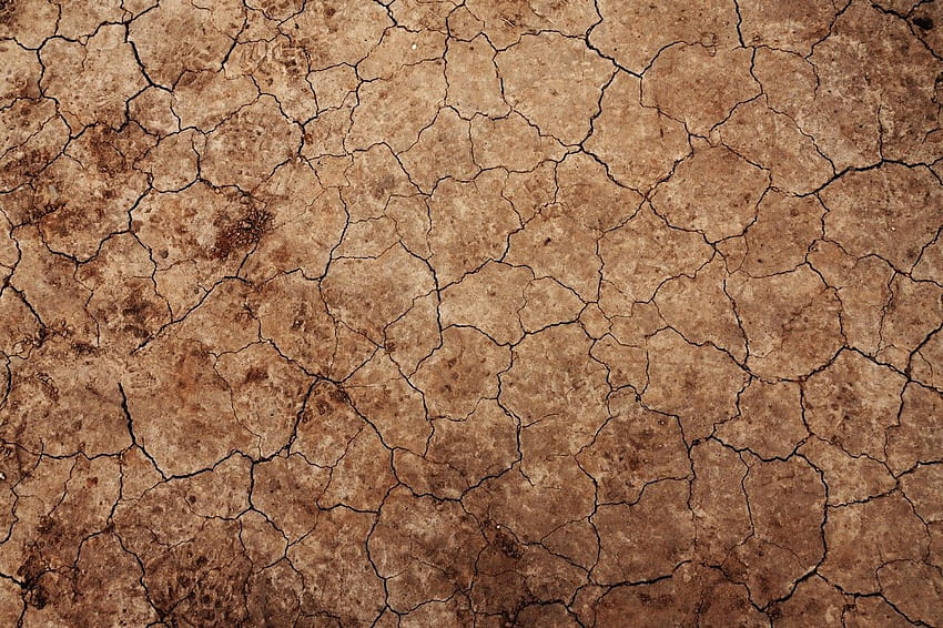 砂漠、汚れ、乾燥、環境、侵食、地面、自然、パターン、テクスチャ、モバイル背景、床のテクスチャ 高画質の壁紙