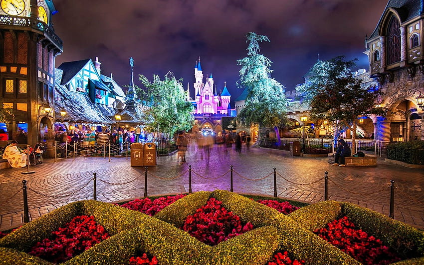 Disneyland, Kalifornia, motyki, miejsce, r, kwiaty, zamek Tapeta HD
