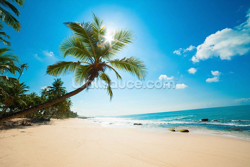 Tropical Beach. Beach scenery, Cheap beach destinations, Canada Beach HD wallpaper