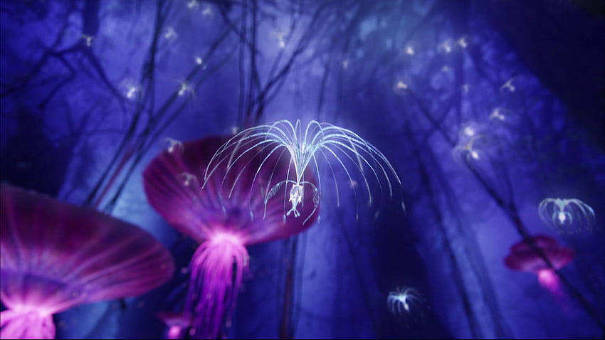 Avatar-Pandora-Hintergrund HD-Hintergrundbild