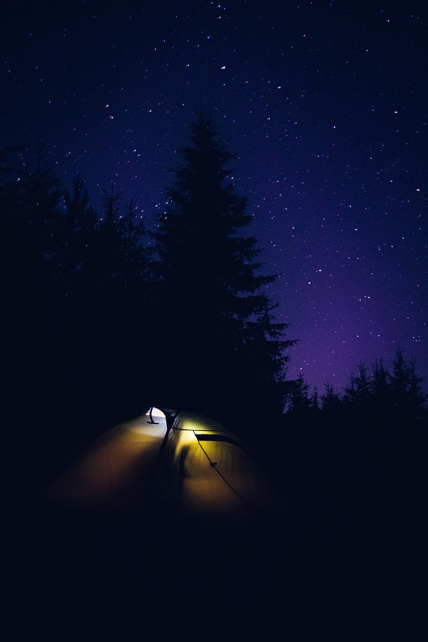 Nature, Night, Dark, Tent, Camping, Campsite HD phone wallpaper