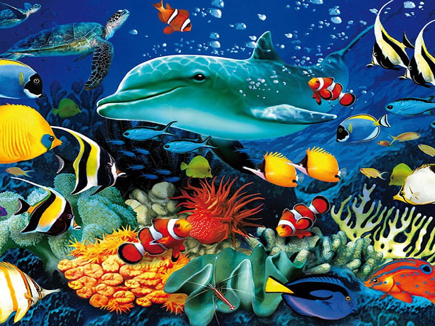 Colorful Underwater Fish Px - Sea Life HD wallpaper