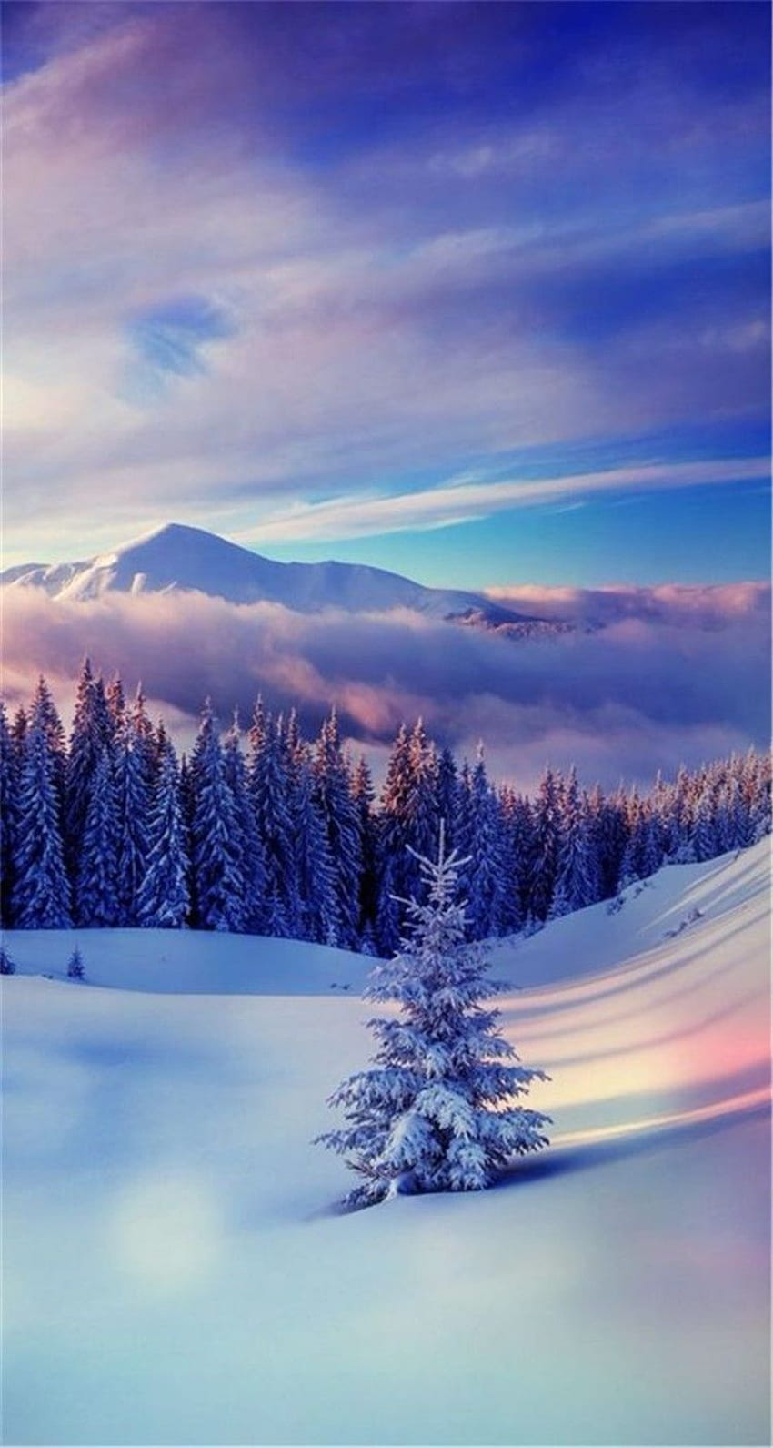 70,000+ Free Snow & Winter Images - Pixabay