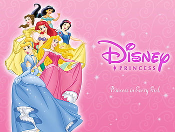 Disney Princess No Sew Fleece Throw 72 Dream Big. JOANN. Disney ...