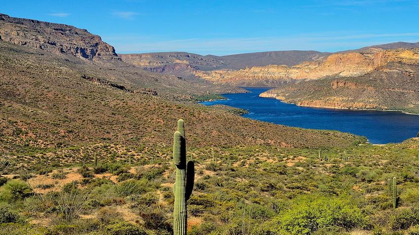 Apache Lake - Life-sustaining water in the Arizona desert, landscape, sky, hills, cactus, usa HD wallpaper