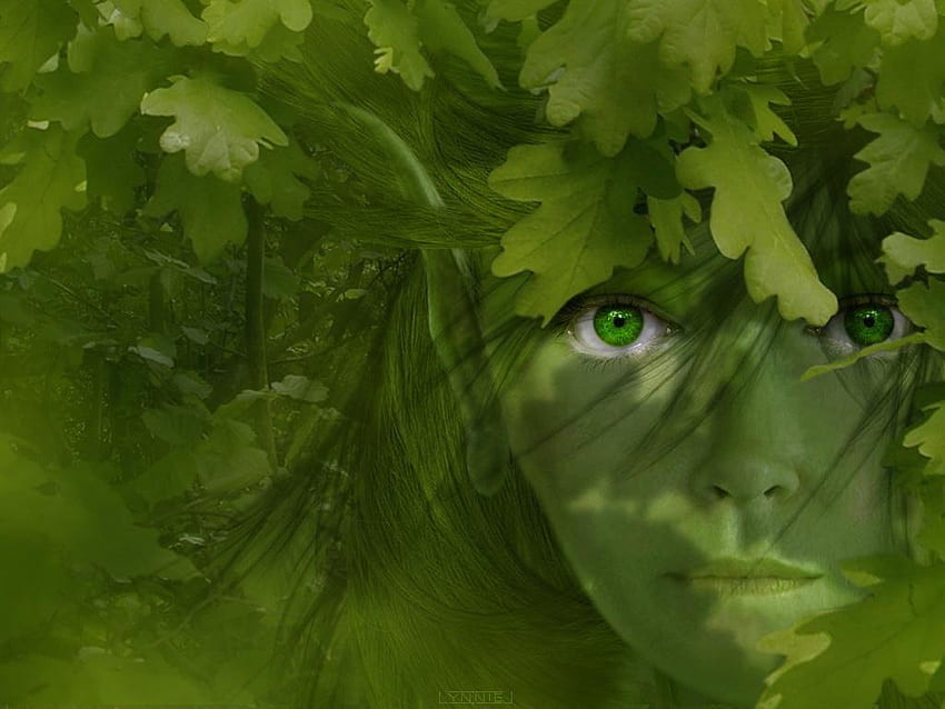 Elfo della foresta, foglie, astratto, fantasia, verde, elfo Sfondo HD