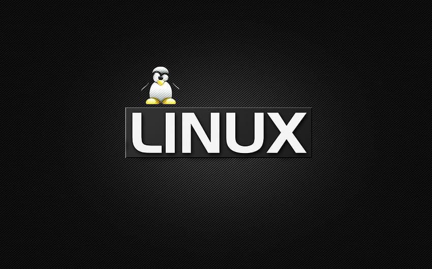 Linux ワイドスクリーン用の Tux Little Penguin 高画質の壁紙