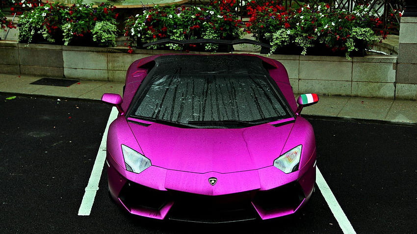 Lamborghini purple HD wallpapers | Pxfuel