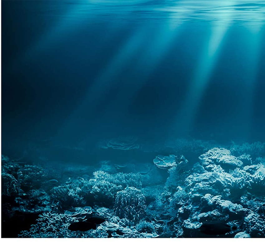 DYNWAVE Adesivo de face única para fundo de aquário Fundo de tanque de peixes Réptil Terrário Decoração de viveiro Undersea World M : Pet Supplies papel de parede HD