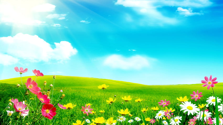 Prado de flores, dibujos animados de la naturaleza fondo de pantalla