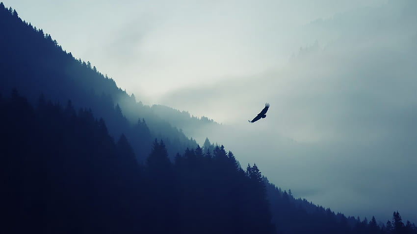 nature mountain eagle fog landscape ultra HD wallpaper