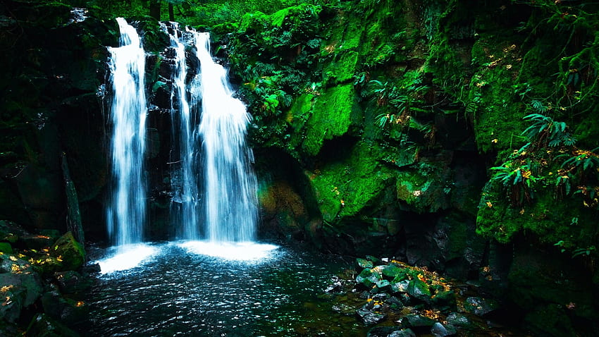 McDowell Creek Falls, Oregon, folhas, plantas, lagoa, rio, rochas, EUA papel de parede HD