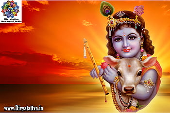 Sri Krishna Ultra Spiritual & Background of Hindu Gods, Krishna HD  wallpaper | Pxfuel