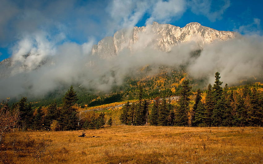Nature, Trees, Mountains, Autumn, Clouds, Fog, Fir, Spruce HD wallpaper