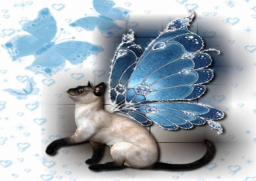 Winged Kitty, gato com asas, borboletas, gato siamês papel de parede HD