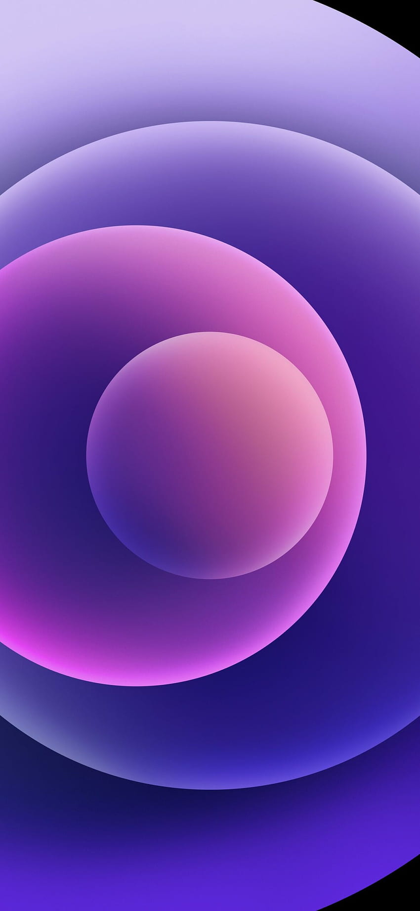 Apple iOS 14.5 RC ajoute un nouveau live violet (lien à l'intérieur), Apple Software Fond d'écran de téléphone HD