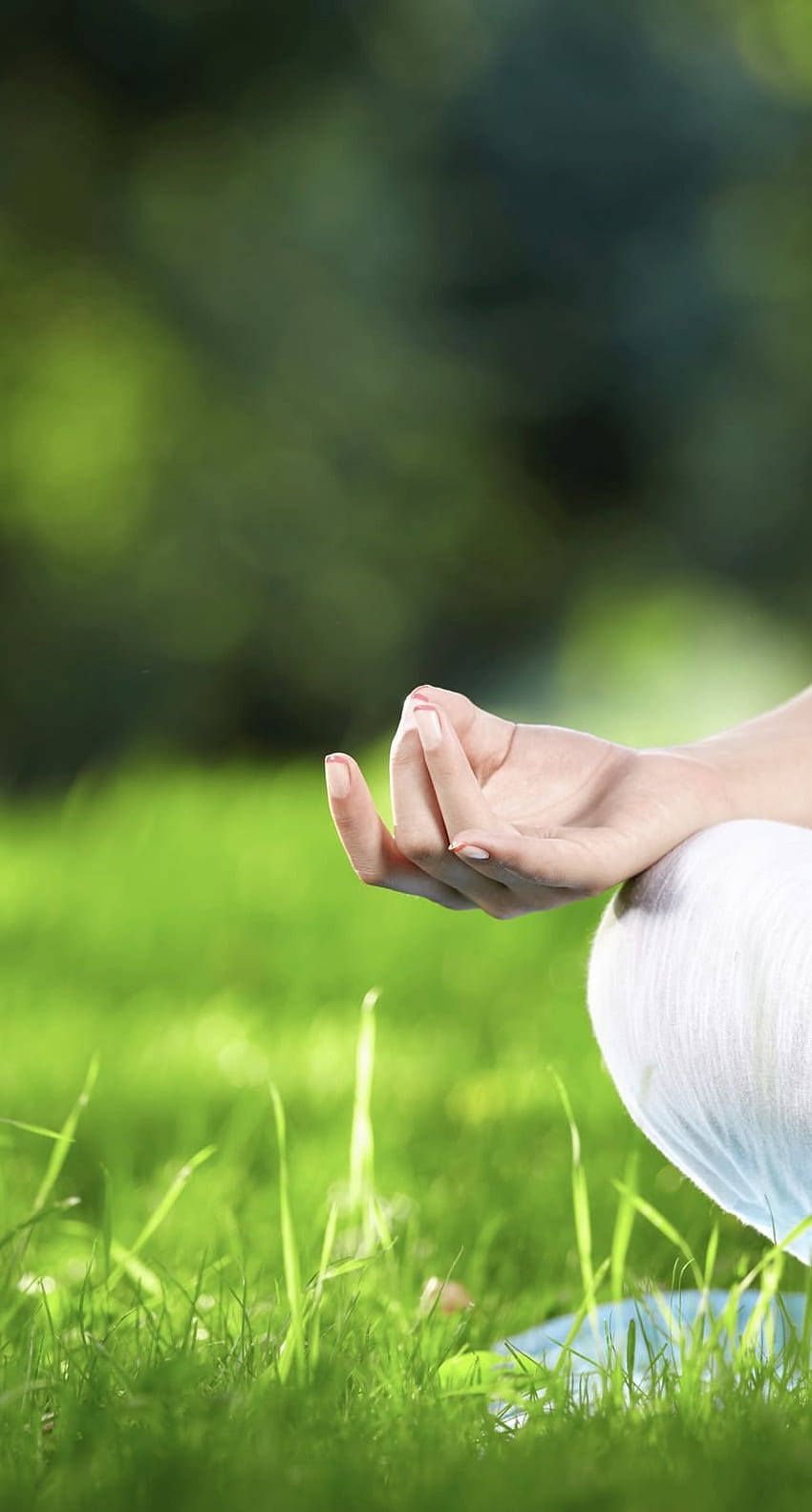 Yoga verde di meditazione della mano. .sc iPhone7 Sfondo del telefono HD