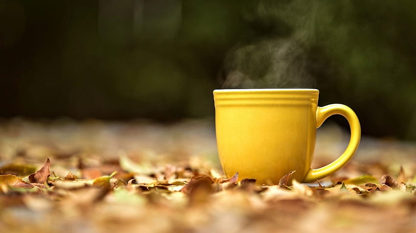 Mood Mug Cup Yellow Hot Tea Leaves Yellow Autumn [] for your , Mobile & Tablet. Explore The Yellow Tone. Why I wrote The, Autumn Tea Aesthetic HD wallpaper