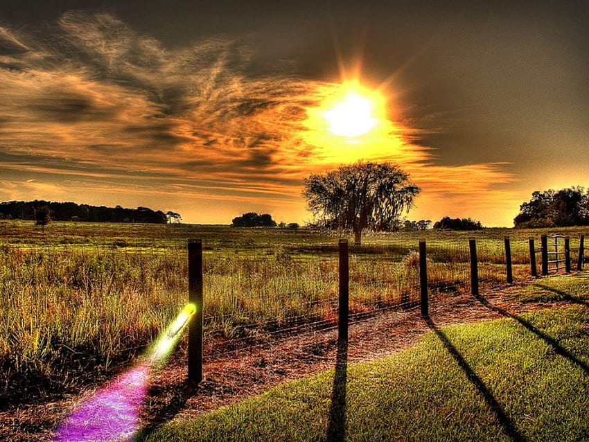 Farm, other, nature, sunset HD wallpaper