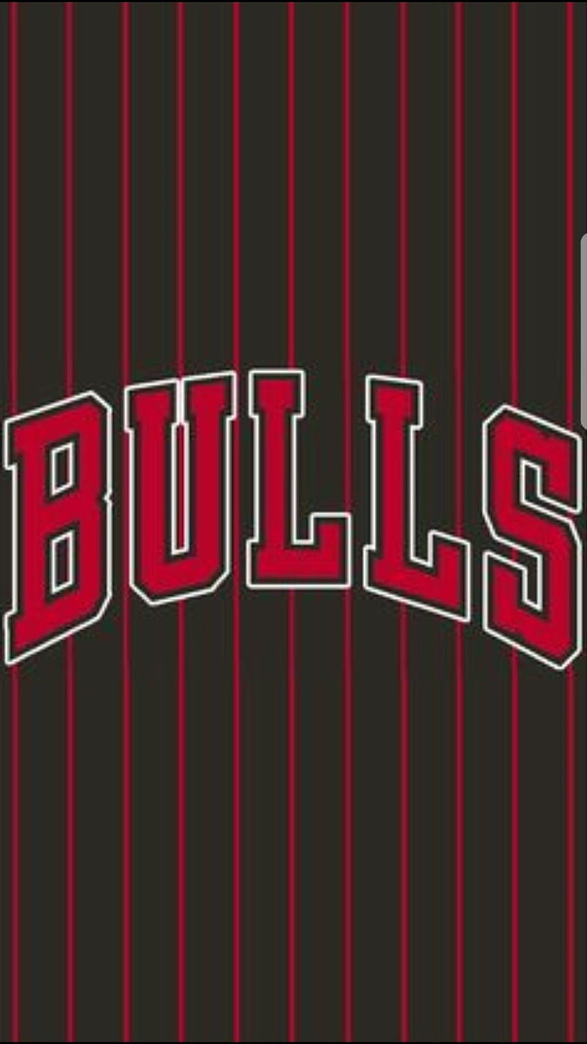 NBA Chicago Bulls, Logo Chicago Bulls wallpaper ponsel HD