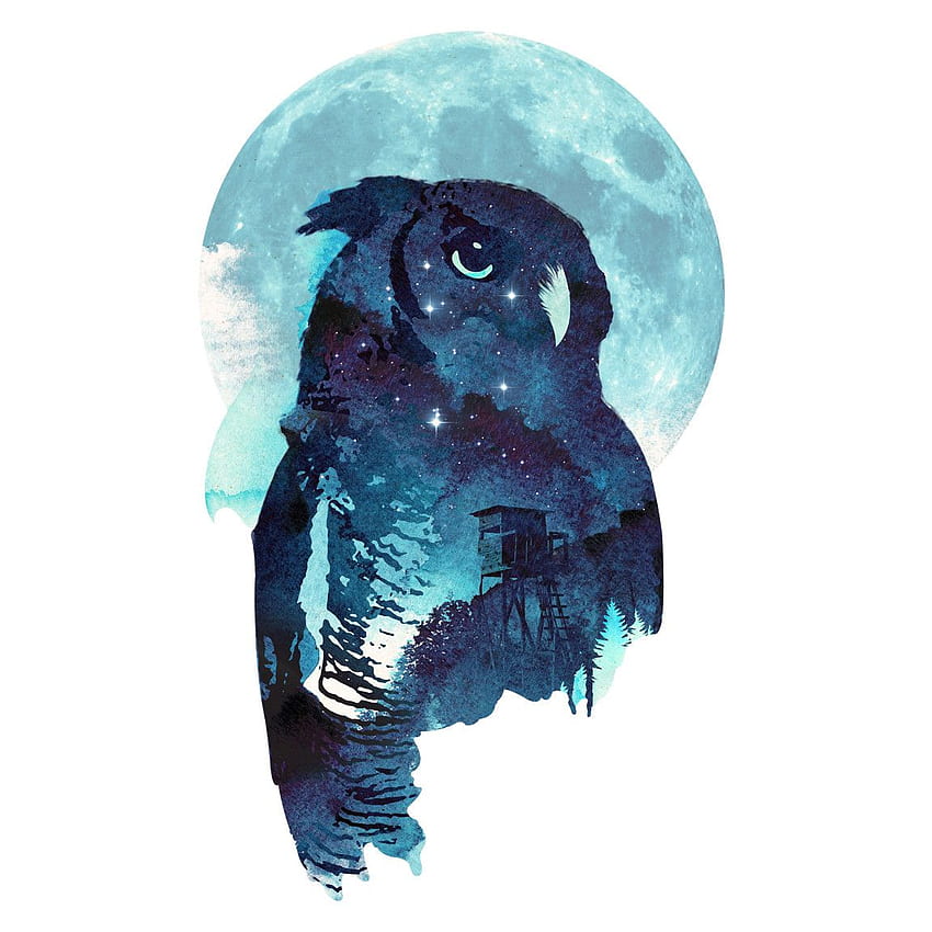 Róbert Farkas Midnight Owl. Tela gufo, tela blu, arte gufo Sfondo del telefono HD
