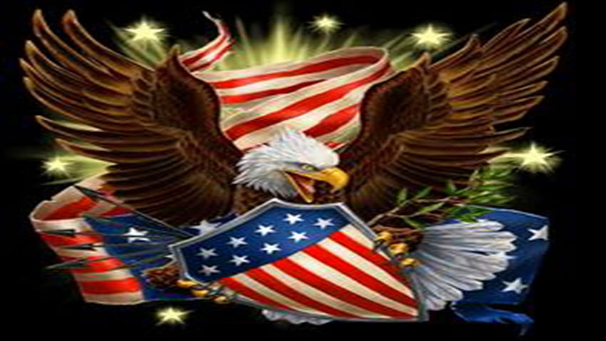 Amerikas Dom, Dom, Flagge, Amerika, Adler HD-Hintergrundbild