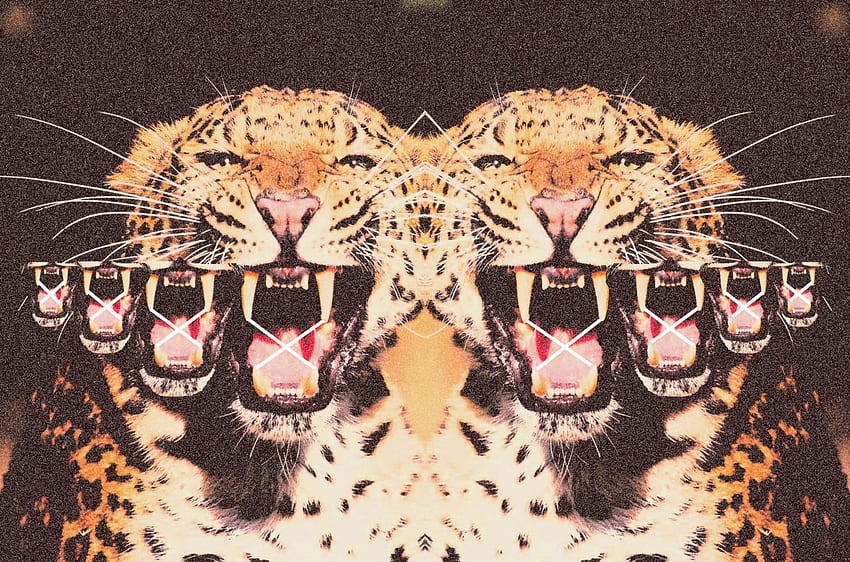 Tiger Hipster Live for Android HD wallpaper