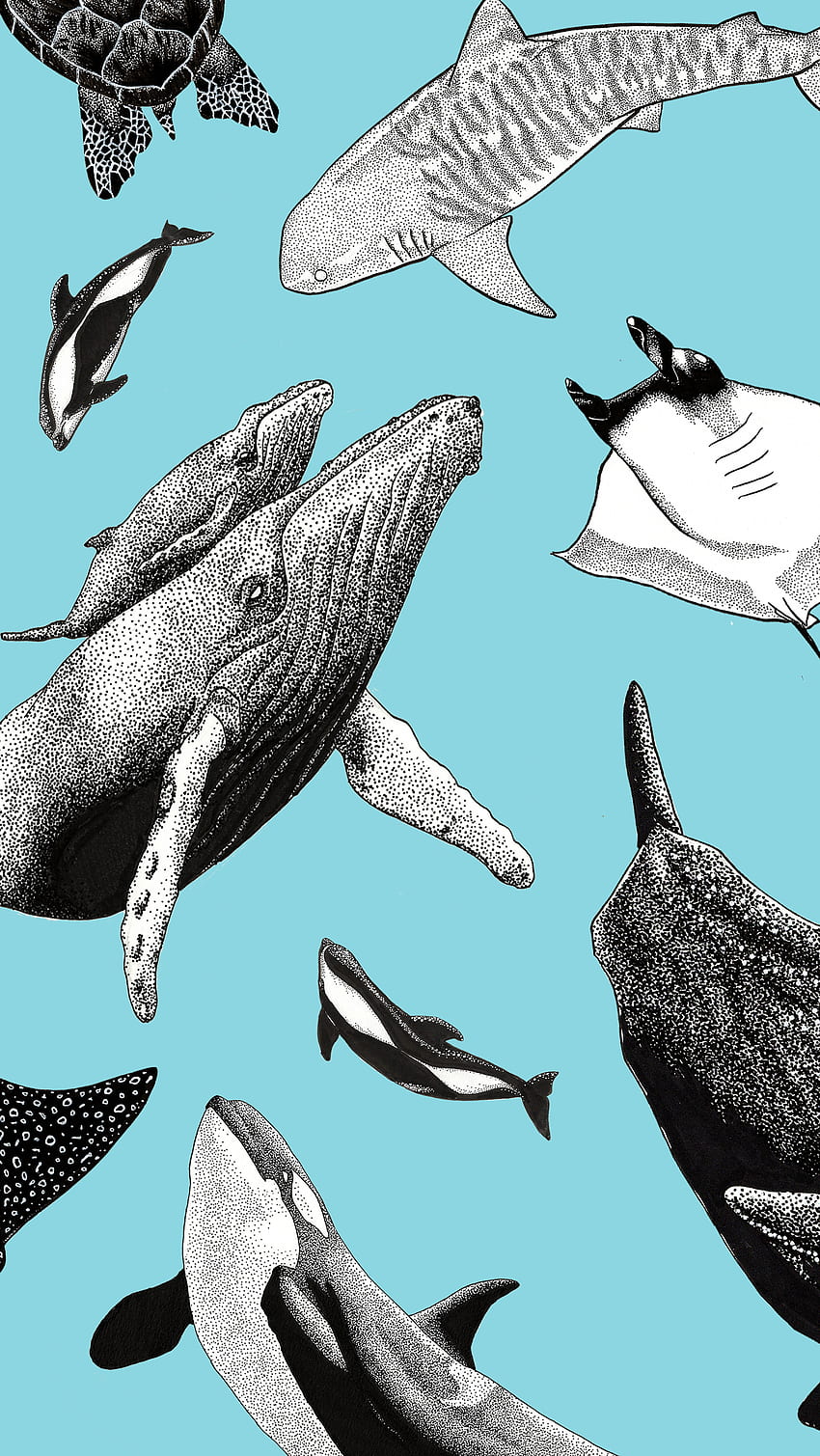 Tło telefonu Kohola Kai. Grafika oceanu, grafika wieloryba, tło telefonu, orka Tapeta na telefon HD