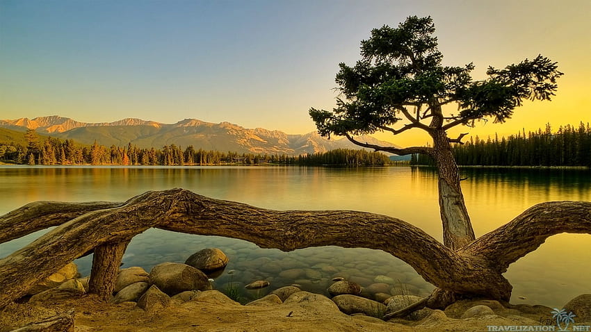 Atemberaubende Natur von National Geographic 1920×1080 Atemberaubendes Wp6003852 Live HD-Hintergrundbild