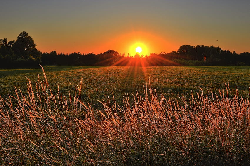 Puesta de sol sobre el campo, grafía, resplandor, país, naranja, tierra, cultivo, rural, campo, naturaleza, puesta de sol fondo de pantalla